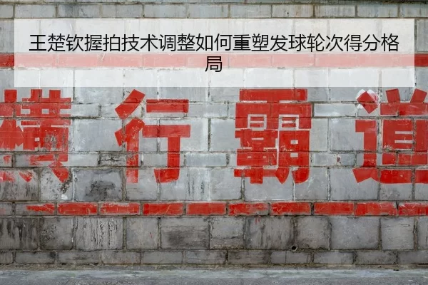 wang-chu-qin-wo-pai-ji-shu-tiao-zheng-ru-he-zhong-su-fa-qiu-lun-ci-de-fen-ge-ju-2-451.jpg