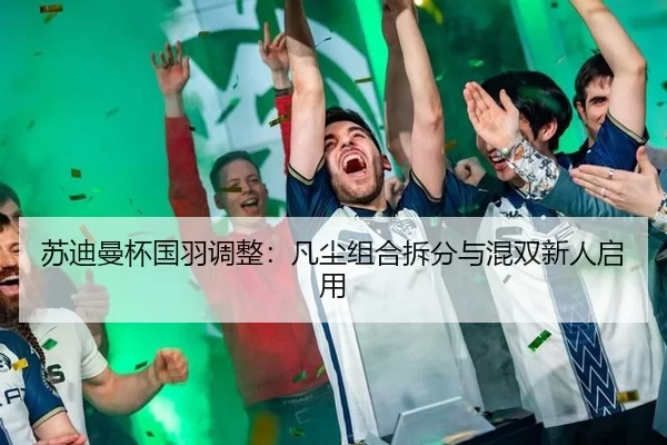 su-di-man-bei-guo-yu-tiao-zheng-fan-chen-zu-he-chai-fen-yu-hun-shuang-xin-ren-qi-yong-2-392.jpg