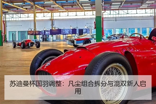 苏迪曼杯国羽调整：凡尘组合拆分与混双新人启用