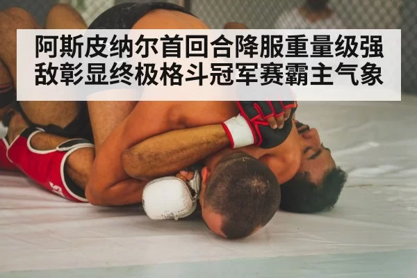 阿斯皮纳尔首回合降服重量级强敌彰显终极格斗冠军赛霸主气象